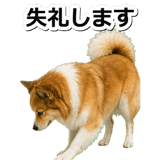 845883694