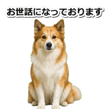 845883695