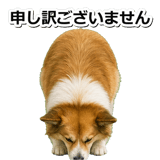 845883696