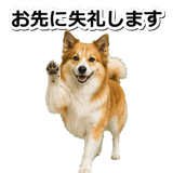 845883697