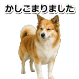 845883698