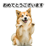 845883699