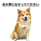 845883700