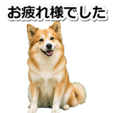 845883701