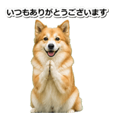845883702