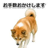 845883703