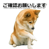 845883704