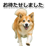 845883705