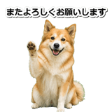 845883707