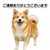 845883708
