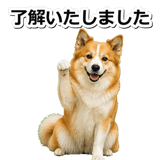 845883709