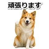 845883710
