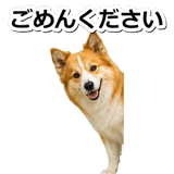 845883712