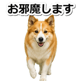 845883713