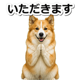 845883714