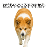 845883716