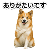 845883717
