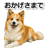 845883718