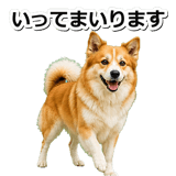 845883719