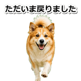 845883720