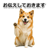 845883721