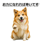 845883722