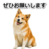 845883723