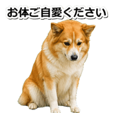 845883724