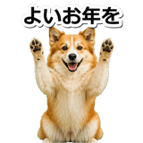 845883725