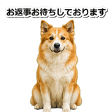 845883727