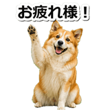 845883728