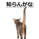 845883740