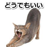 845883744
