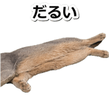 845883746