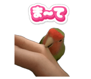 845883890