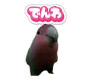 845883892