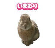 845883896