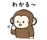 845884138