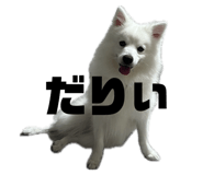 845884434