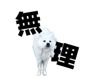 845884437
