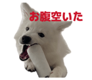 845884439