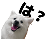 845884441