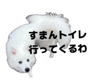 845884445