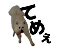845884446