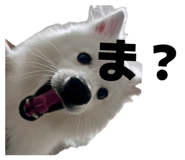 845884447