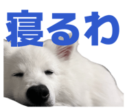845884448