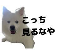 845884450