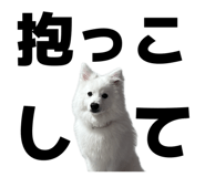 845884452