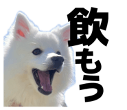 845884455