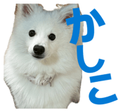 845884459